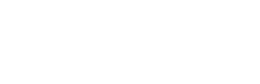 Vizigon logo